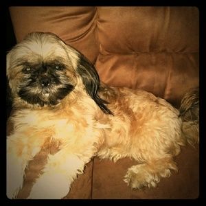 Meet your posher, Dawn.